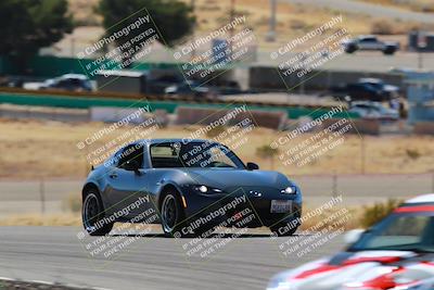 media/Mar-08-2025-Extreme Speed (Sat) [[4abb97269e]]/Purple/Turns 2  and  4 (Session 2)/